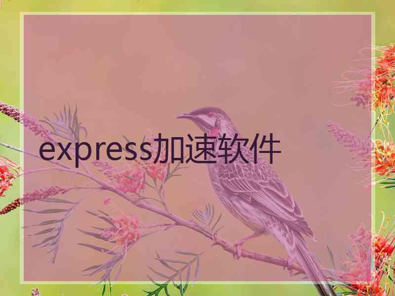 express加速软件