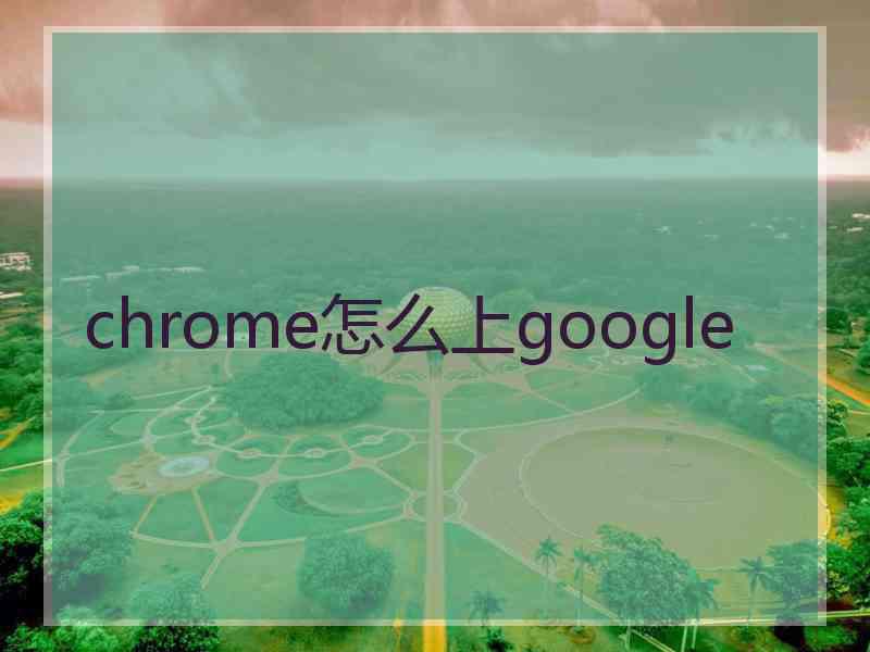 chrome怎么上google