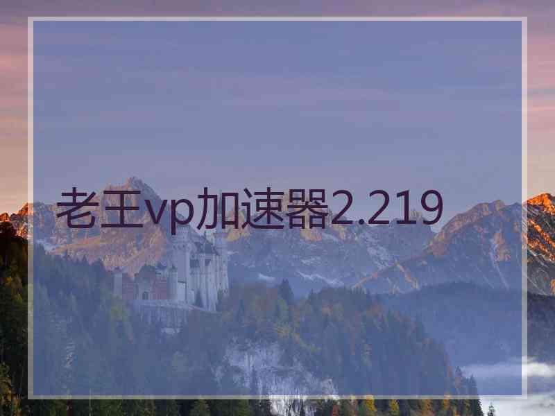 老王vp加速器2.219