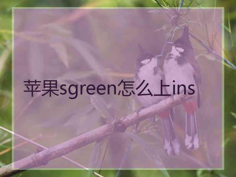 苹果sgreen怎么上ins