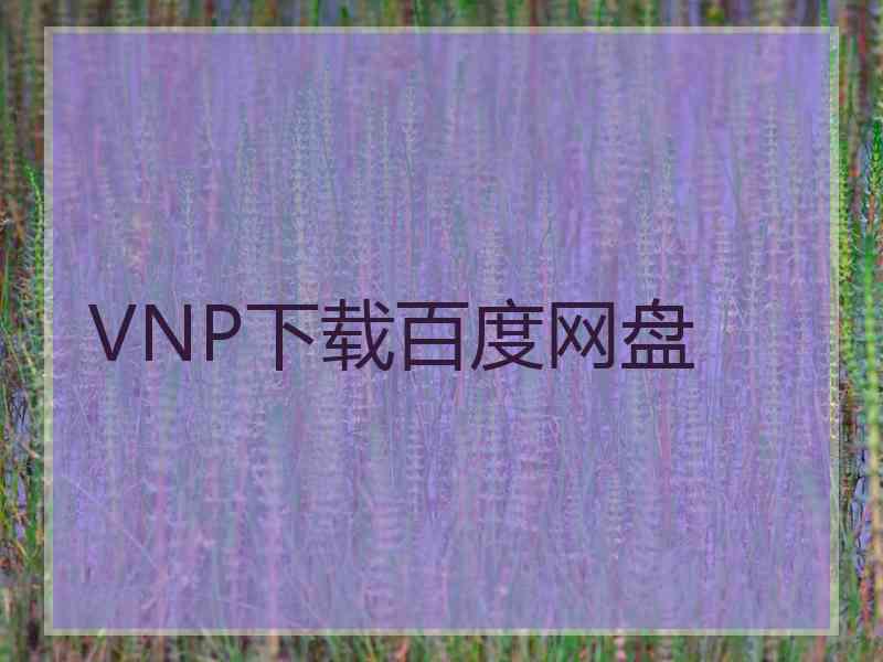 VNP下载百度网盘