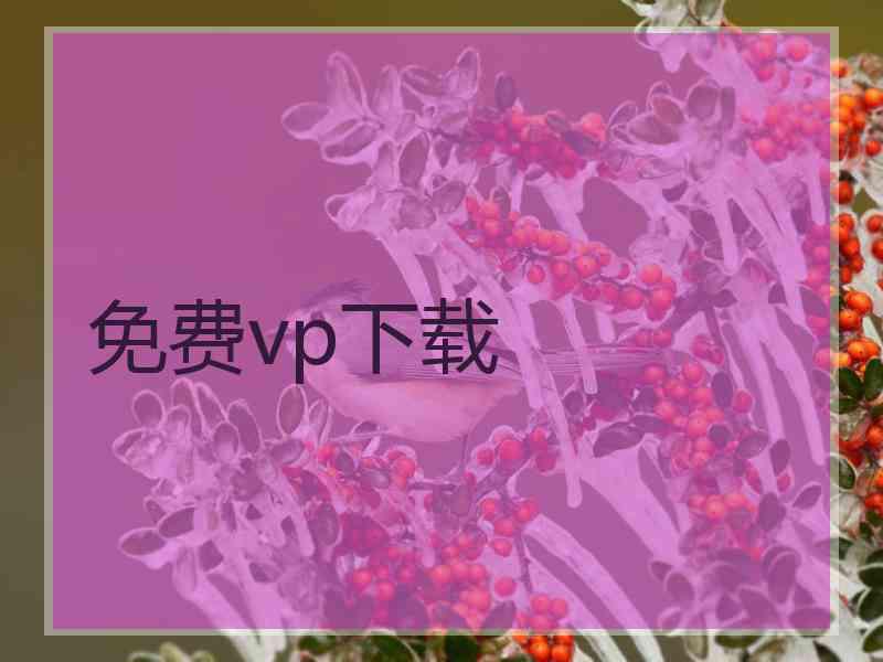 免费vp下载