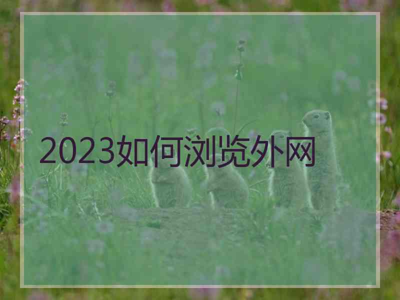 2023如何浏览外网