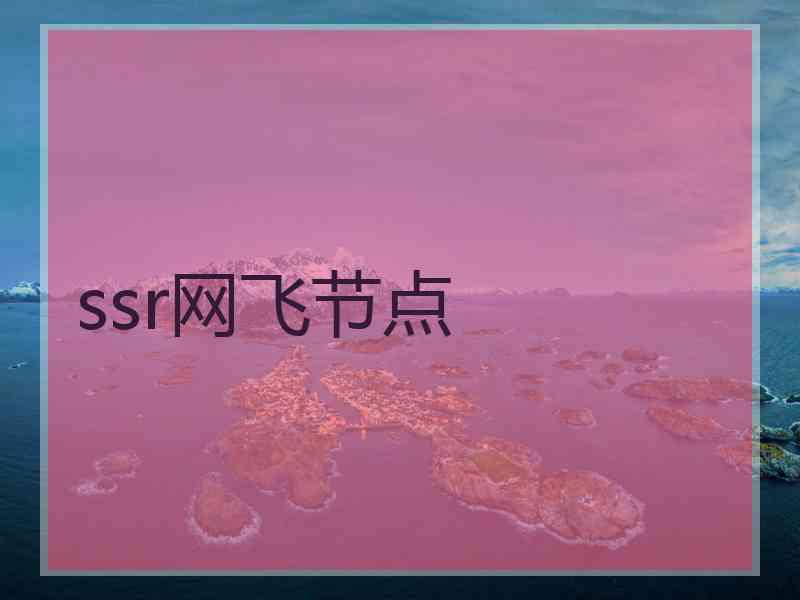 ssr网飞节点