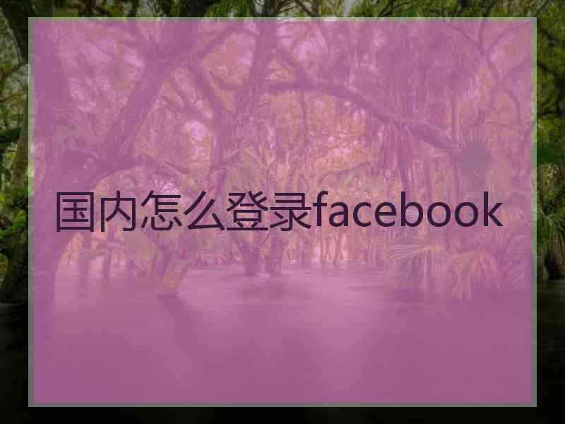 国内怎么登录facebook