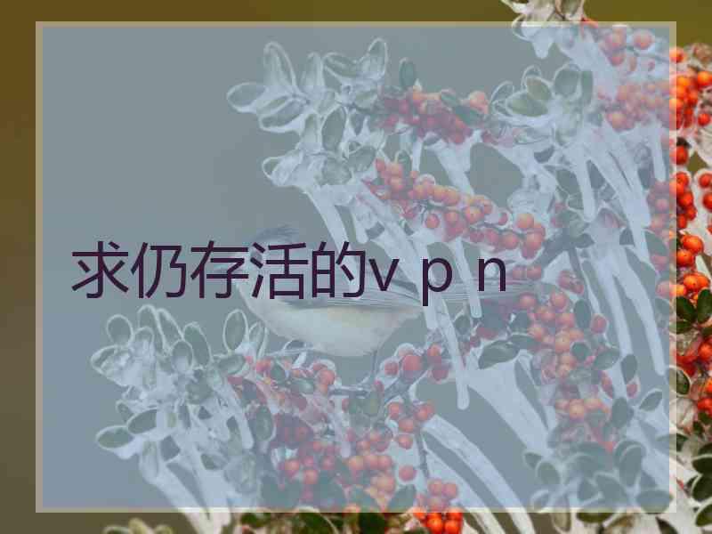 求仍存活的v p n