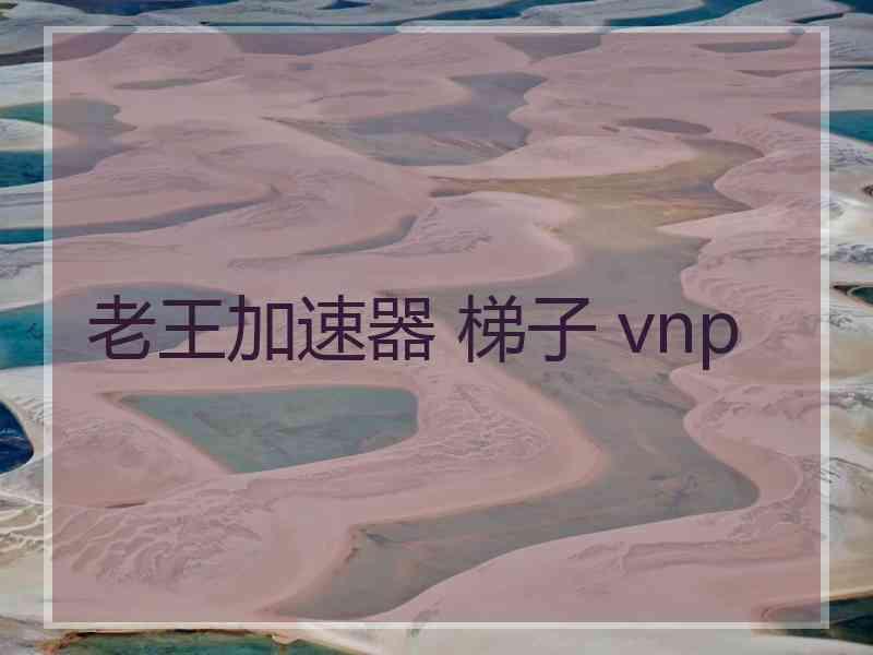 老王加速器 梯子 vnp