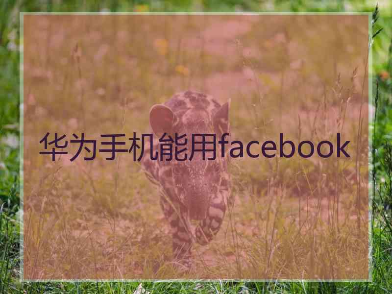 华为手机能用facebook