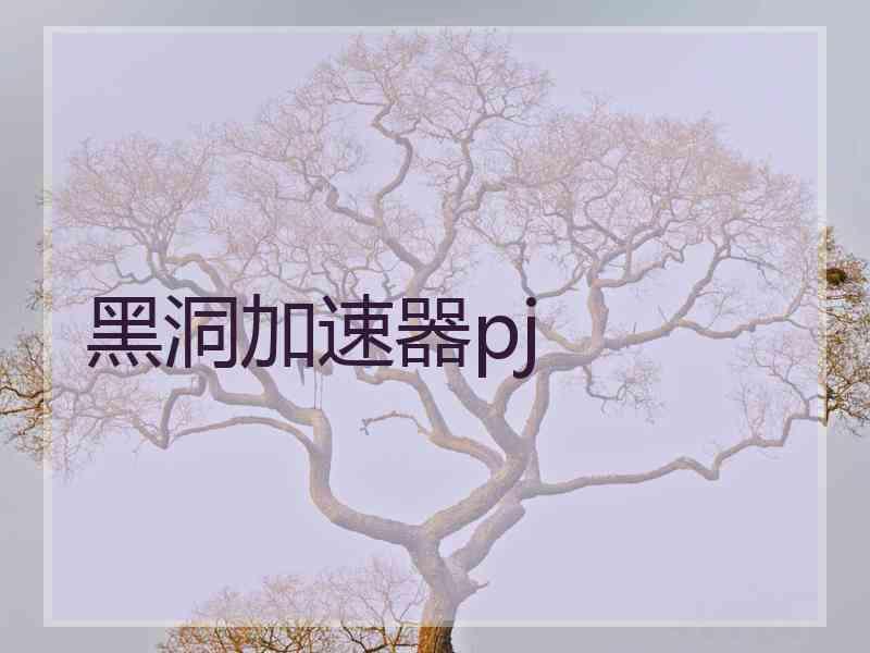 黑洞加速器pj