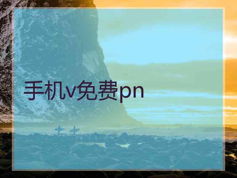 手机v免费pn