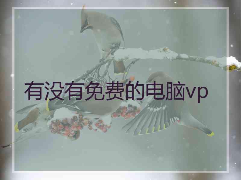 有没有免费的电脑vp