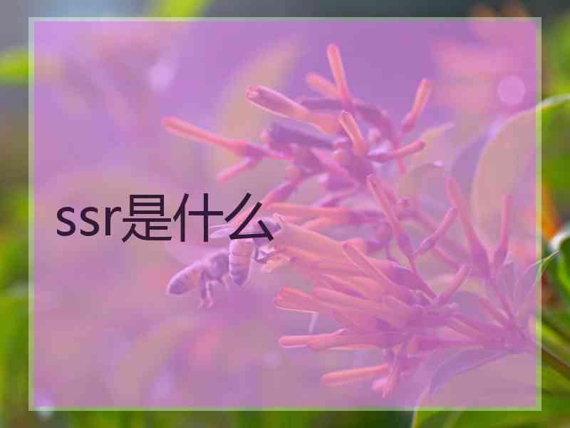 ssr是什么