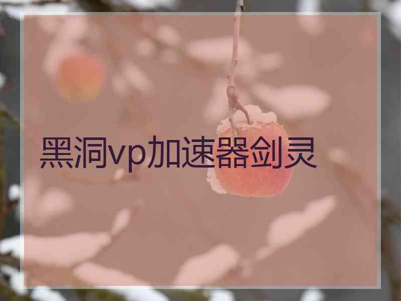 黑洞vp加速器剑灵