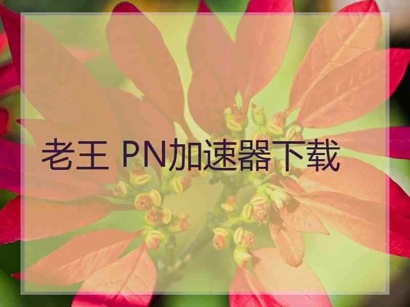 老王 PN加速器下载