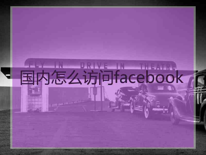 国内怎么访问facebook