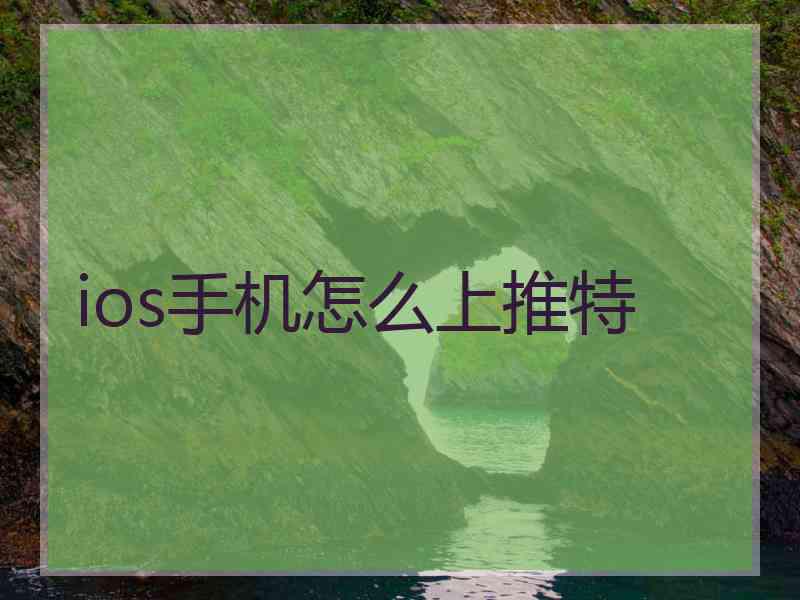 ios手机怎么上推特