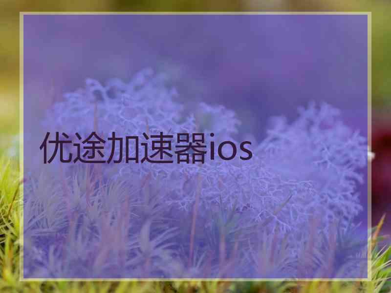 优途加速器ios