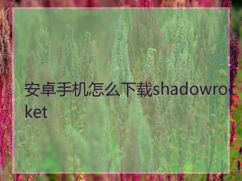 安卓手机怎么下载shadowrocket