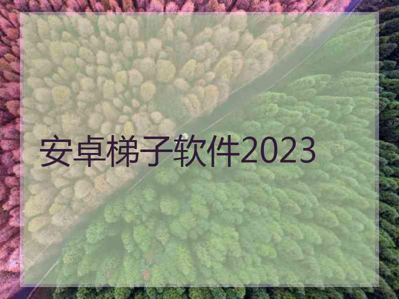 安卓梯子软件2023