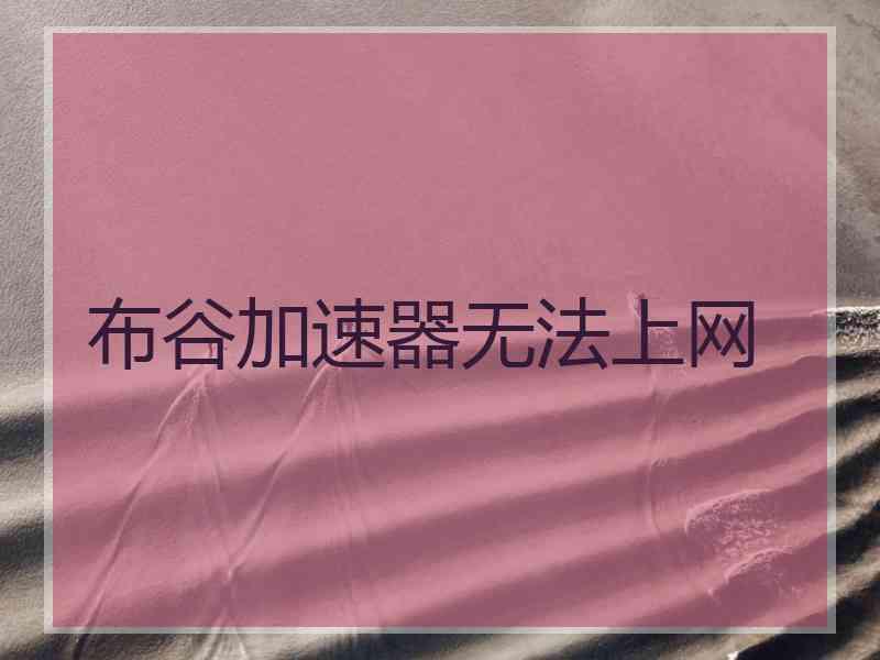 布谷加速器无法上网