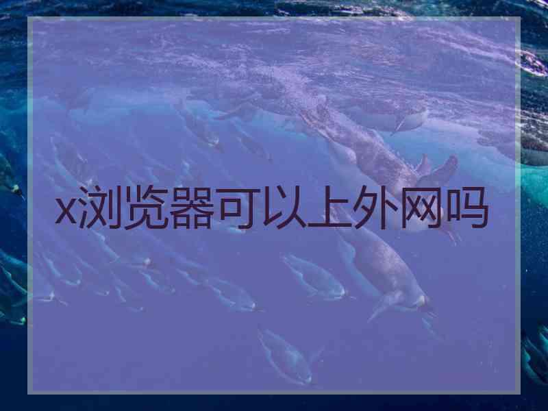 x浏览器可以上外网吗