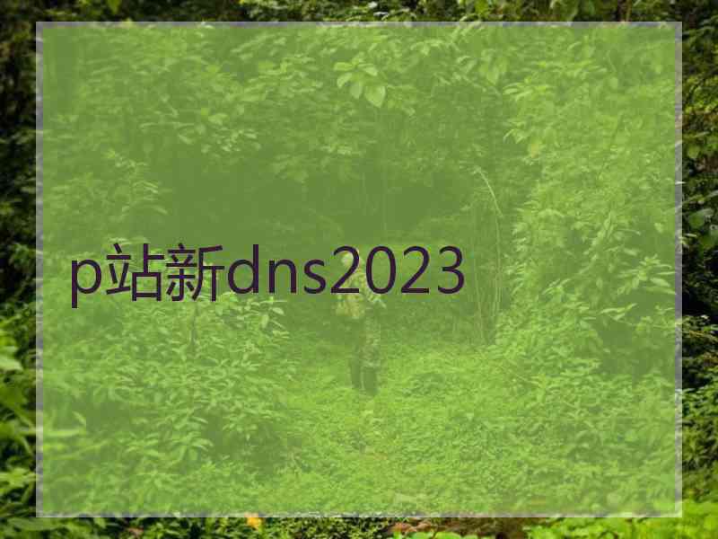 p站新dns2023