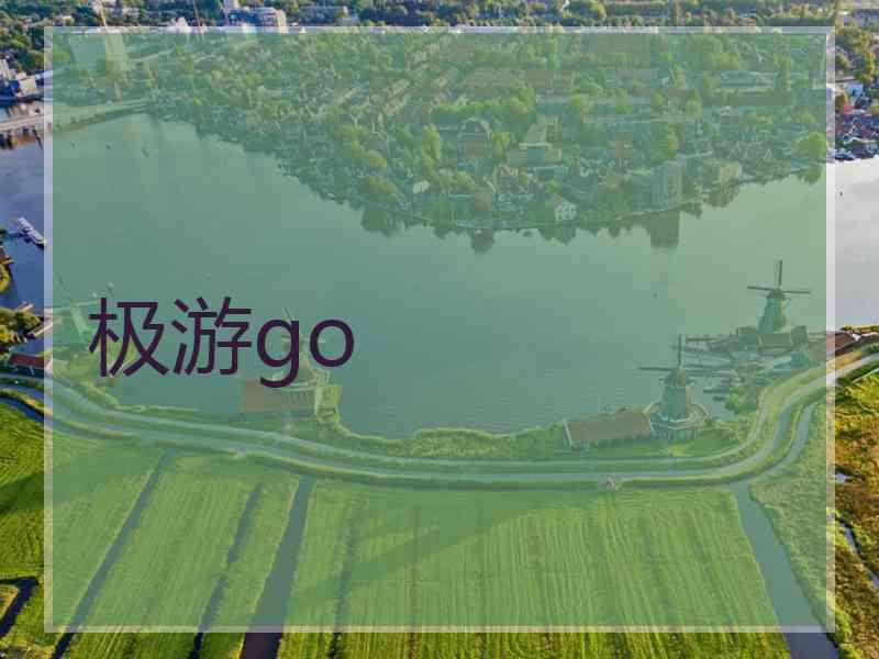 极游go