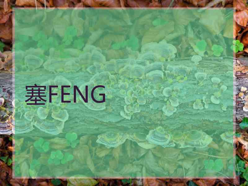 塞FENG