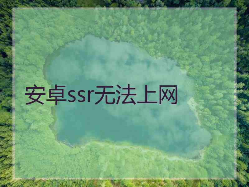 安卓ssr无法上网